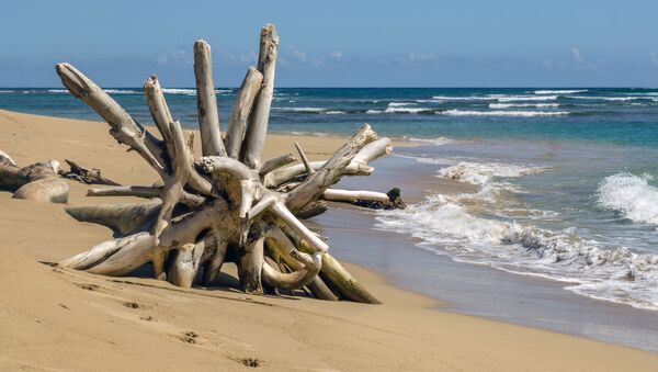 Una playa en el Caribe - Sputnik Mundo