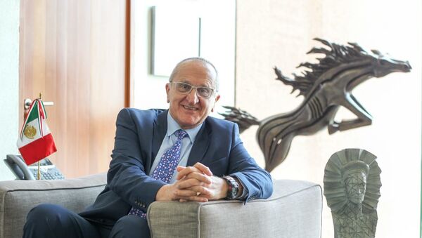 Jesús Seade, candidato de México al puesto de Director General de la OMC - Sputnik Mundo