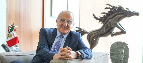 Jesús Seade, candidato de México al puesto de Director General de la OMC - Sputnik Mundo