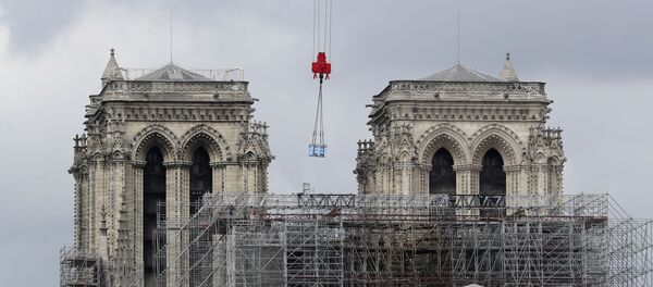 La Catedral de Notre Dame de París La Catedral de Notre Dame de París - Sputnik Mundo