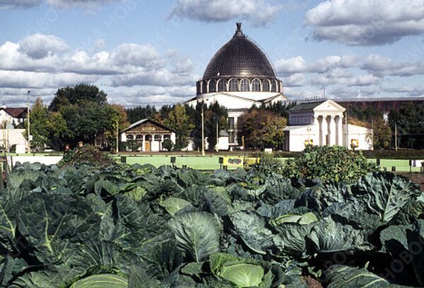 RIA Novosti. Igor Mikhalev - Sputnik Mundo