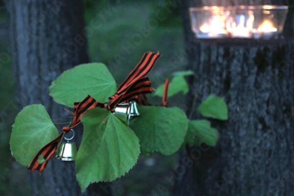 RIA Novosti. Ruslan Krivobok - Sputnik Mundo