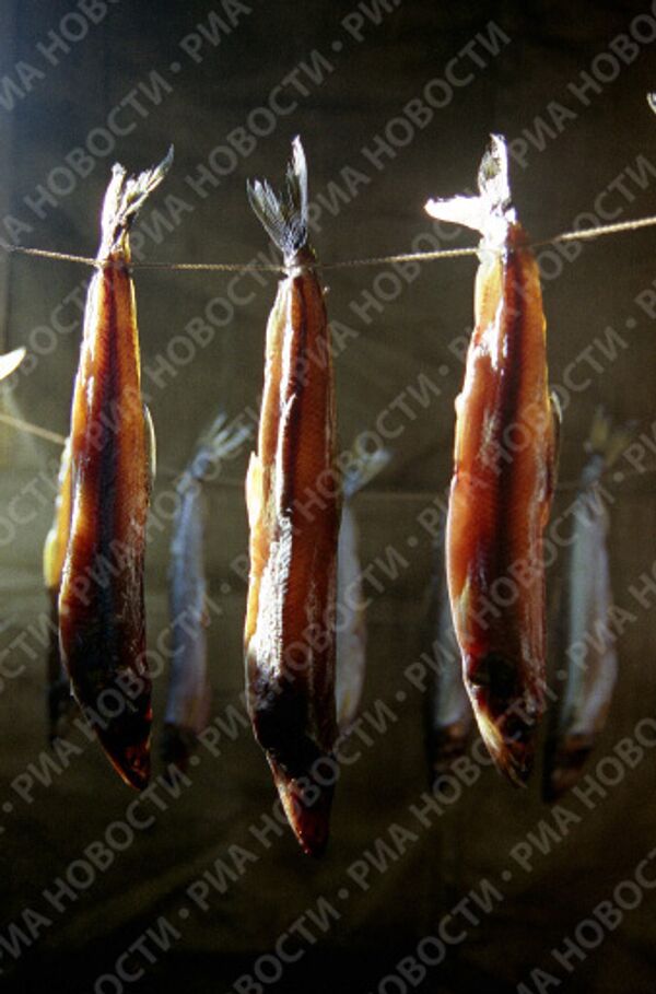 RIA Novosti. Sergey Krivosheev - Sputnik Mundo