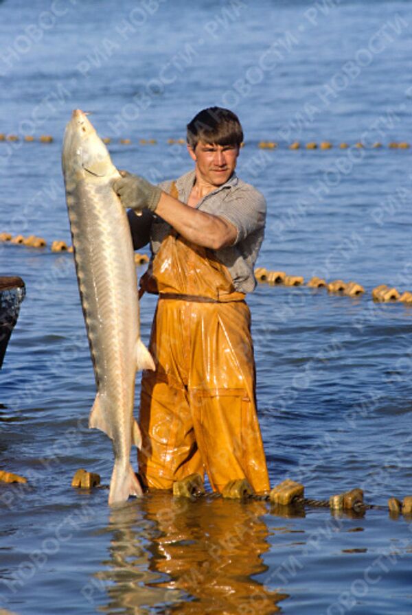 RIA Novosti. Boris Babanov - Sputnik Mundo