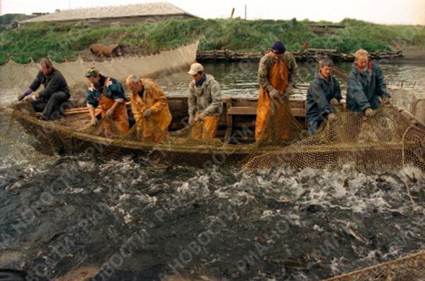 RIA Novosti. Sergey Krivosheev - Sputnik Mundo