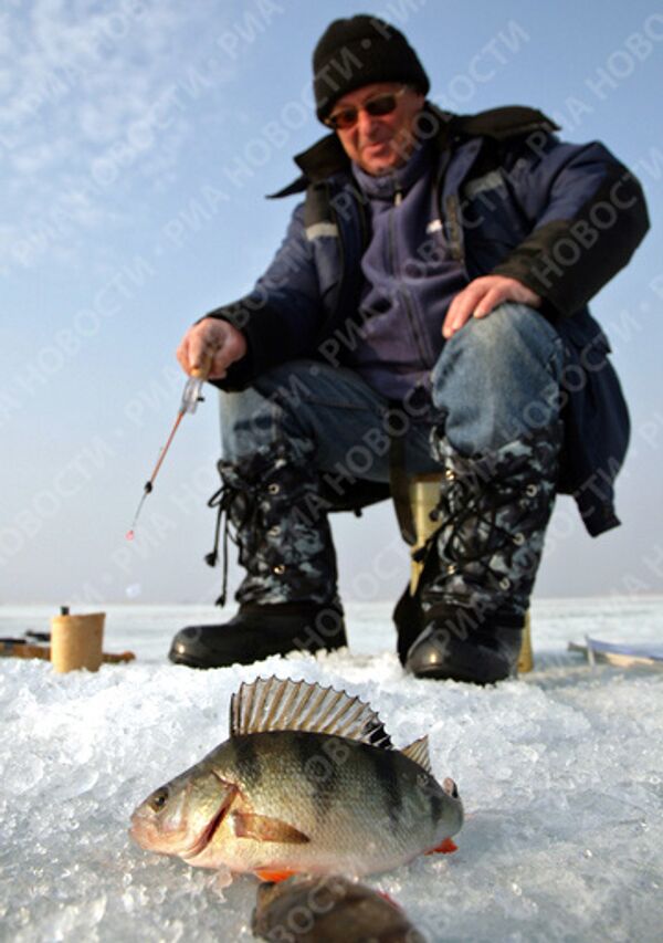 RIA Novosti. Alexander Alpatkin - Sputnik Mundo