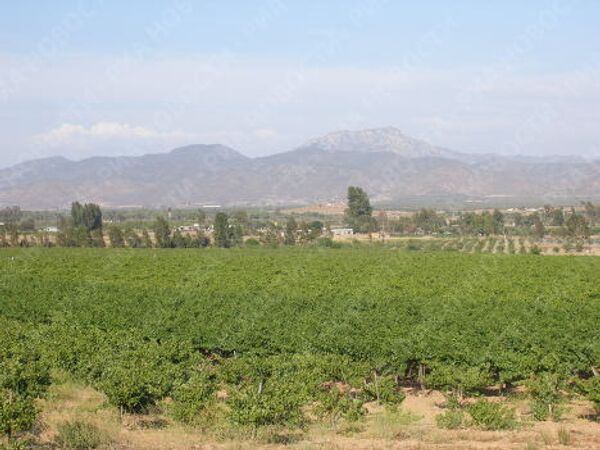 RIA Novosti. Yuriy Nikolaev - Sputnik Mundo