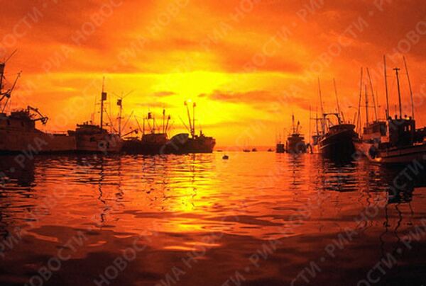 RIA Novosti. Sergei Krivosheev RIA Novosti. Sergei Krivosheev - Sputnik Mundo