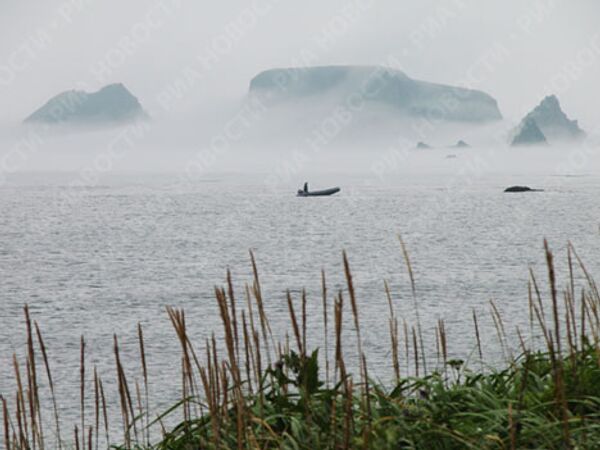 RIA Novosti. Sergei Krivosheev RIA Novosti. Sergei Krivosheev - Sputnik Mundo