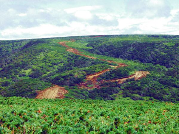 RIA Novosti. Sergei Krivosheev RIA Novosti. Sergei Krivosheev - Sputnik Mundo