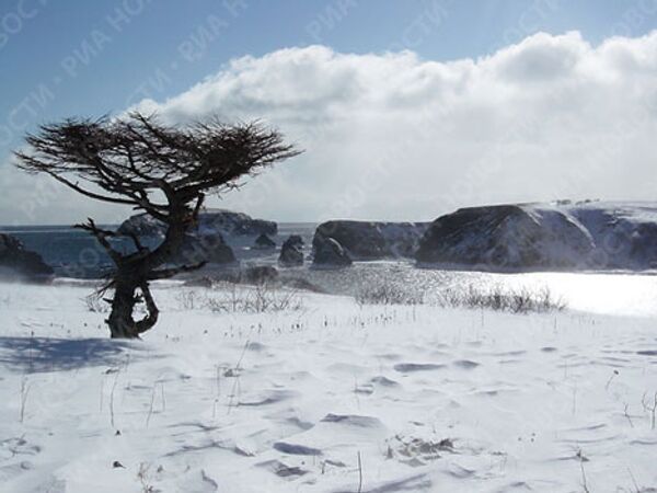 RIA Novosti. Sergei Krivosheev RIA Novosti. Sergei Krivosheev - Sputnik Mundo