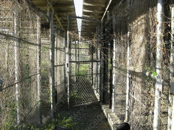 RIA Novosti. Maria Tabak - Sputnik Mundo