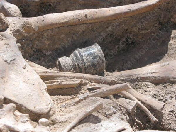 RIA Novosti. Yelena Visens - Sputnik Mundo