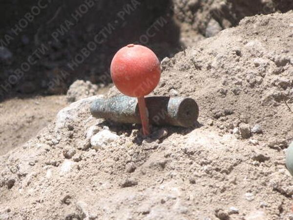 RIA Novosti. Yelena Visens - Sputnik Mundo