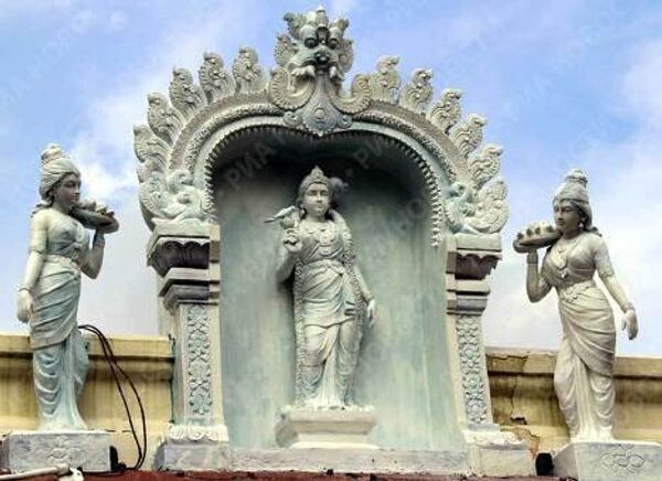 RIA Novosti. Mikhail V.Tsyganov - Sputnik Mundo