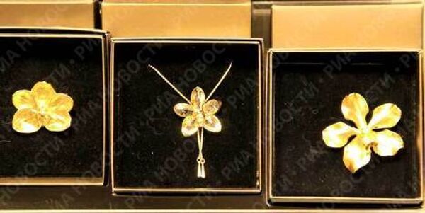 RIA Novosti. Mikhail V.Tsyganov - Sputnik Mundo