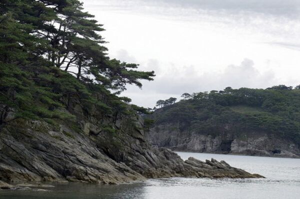 © Las fotos son un aporte de la administración del territorio de Primorie - Sputnik Mundo