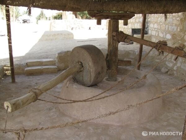 RIA Novosti. Nadim Zuaui - Sputnik Mundo