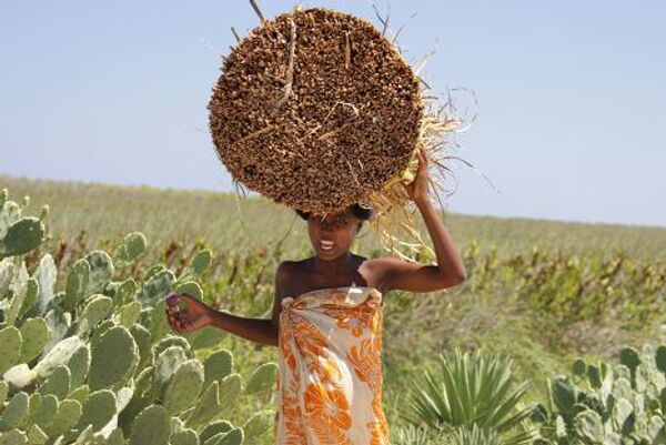 RIA Novosti. Anton Denisov - Sputnik Mundo