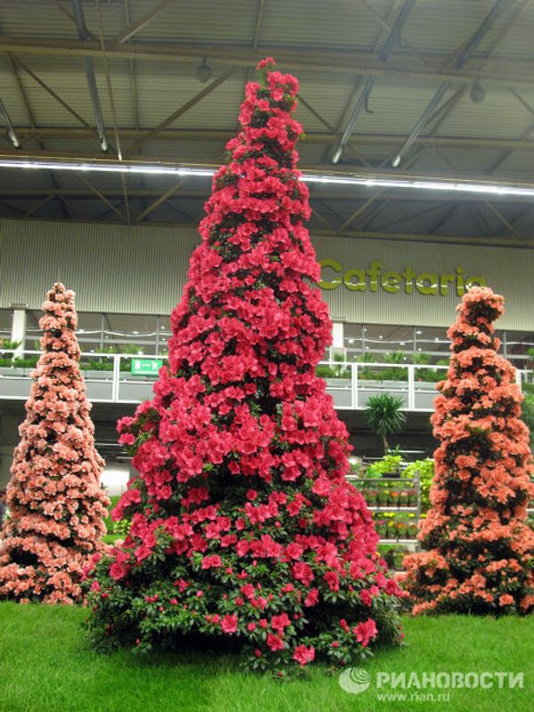 RIA Novosti. Monique Mulen - Sputnik Mundo