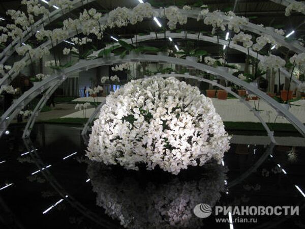 RIA Novosti. Monique Mulen - Sputnik Mundo