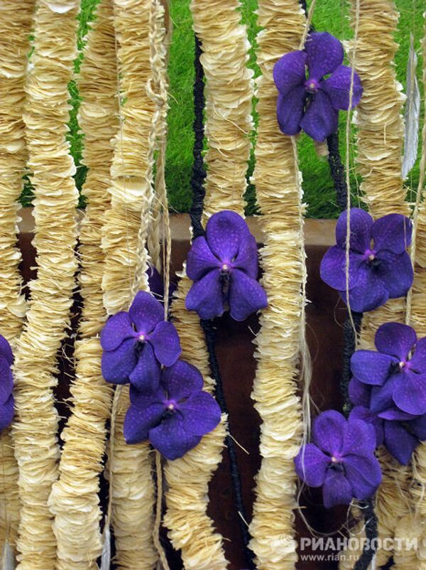 RIA Novosti. Monique Mulen - Sputnik Mundo