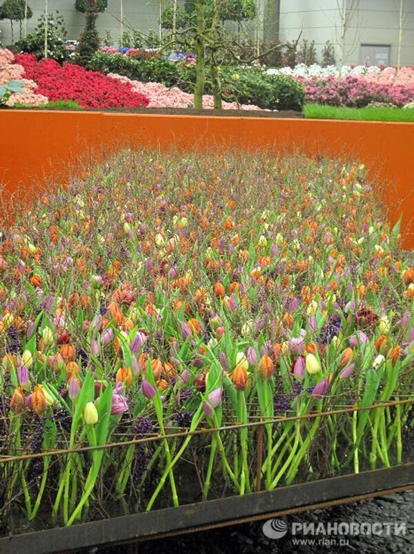 RIA Novosti. Monique Mulen - Sputnik Mundo