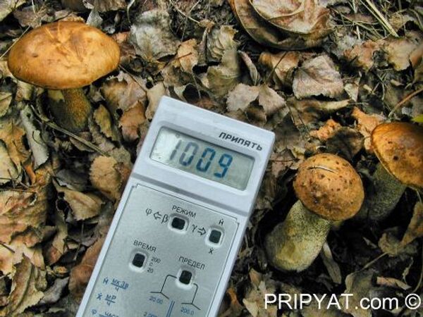 pripyat.com - Sputnik Mundo