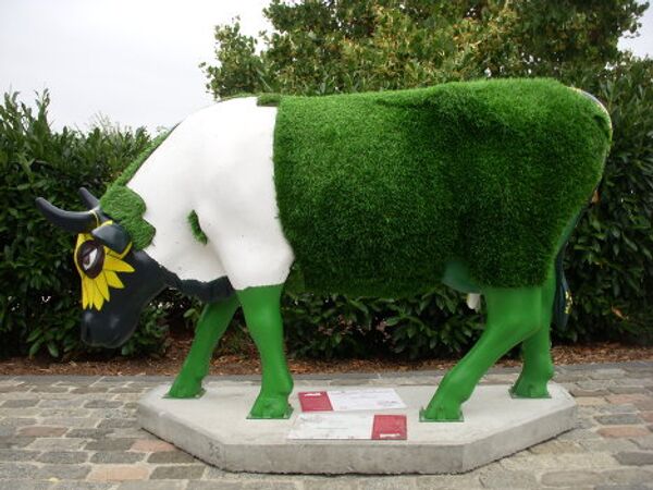 Photo: Anastasia Sedukhina - Sputnik Mundo