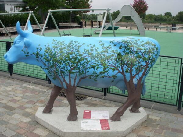 Photo: Anastasia Sedukhina - Sputnik Mundo