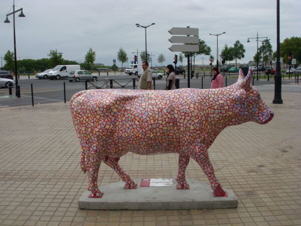 Photo: Anastasia Sedukhina - Sputnik Mundo