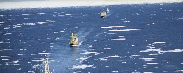 Ruta Marítima del Norte - Sputnik Mundo