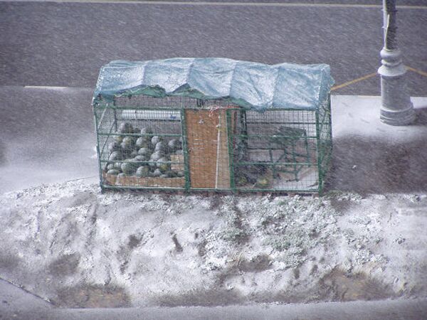 Moscovitas sacan fotos de la primera nieve en 2010 - Sputnik Mundo