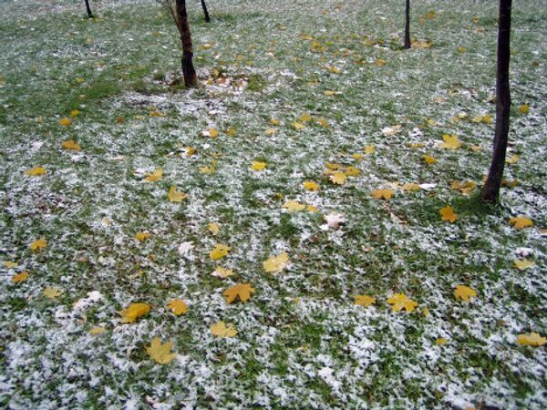Moscovitas sacan fotos de la primera nieve en 2010 - Sputnik Mundo
