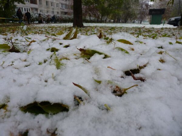 Moscovitas sacan fotos de la primera nieve en 2010 - Sputnik Mundo