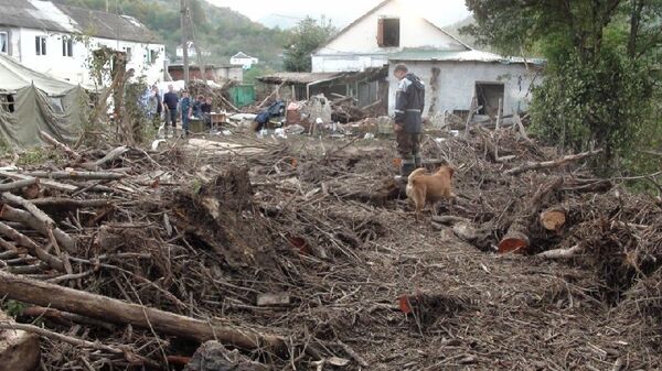 Gobierno ruso asignará 17 millones de dólares para paliar consecuencias de inundaciones en el sur del país - Sputnik Mundo