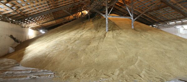 ОАО Арский Элеватор - Sputnik Mundo