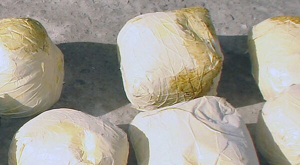 Drogas - Sputnik Mundo