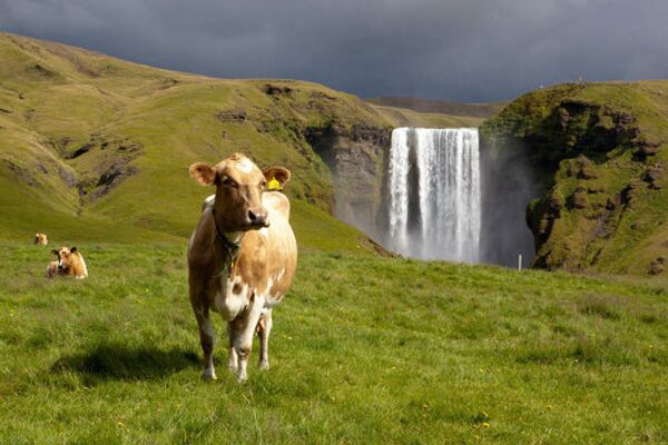 La austera belleza de la misteriosa Islandia - Sputnik Mundo