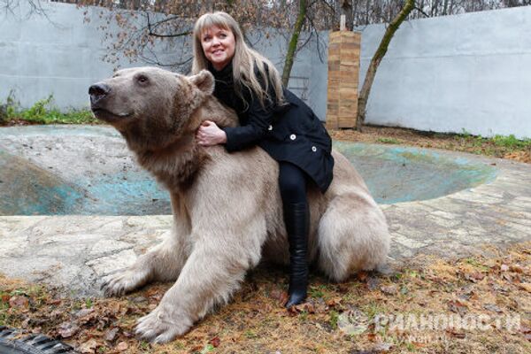 El oso Stiopa, estrella del cine ruso - Sputnik Mundo