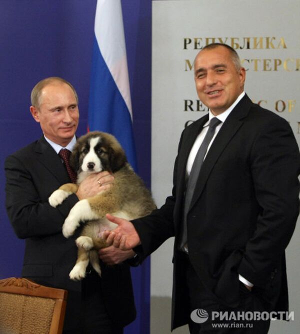 Vladímir Putin y sus mascotas - Sputnik Mundo