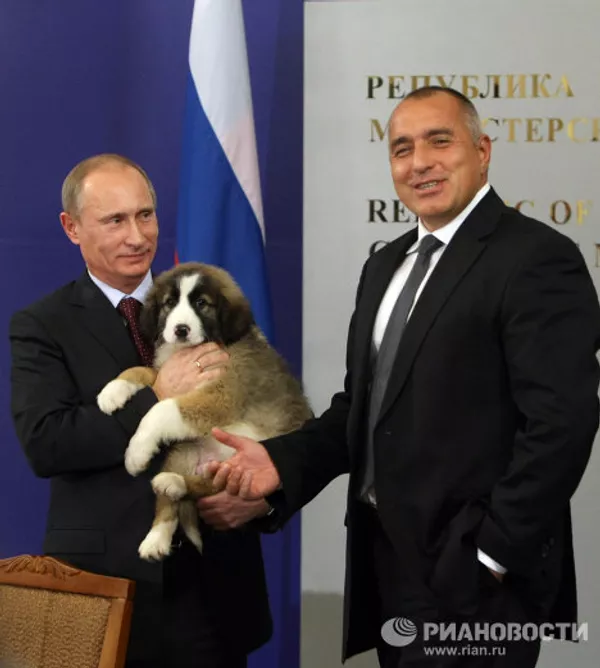 Vladímir Putin y sus mascotas Vladímir Putin y sus mascotas - Sputnik Mundo