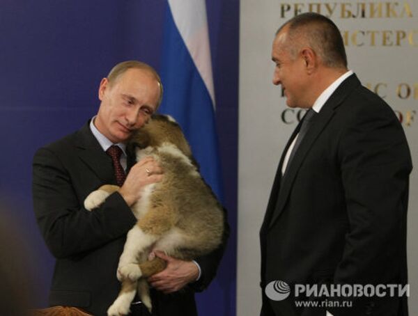 Vladímir Putin y sus mascotas - Sputnik Mundo