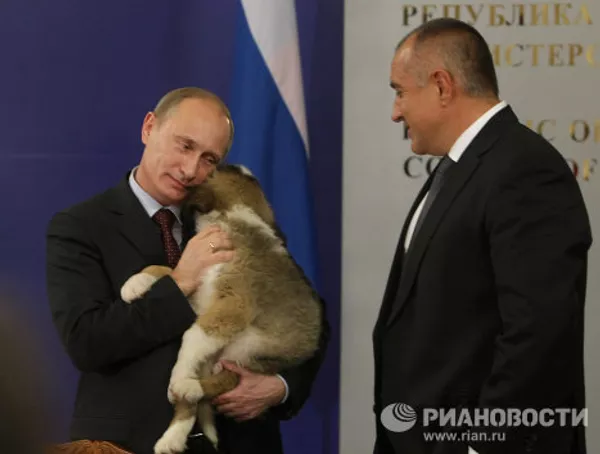 Vladímir Putin y sus mascotas Vladímir Putin y sus mascotas - Sputnik Mundo