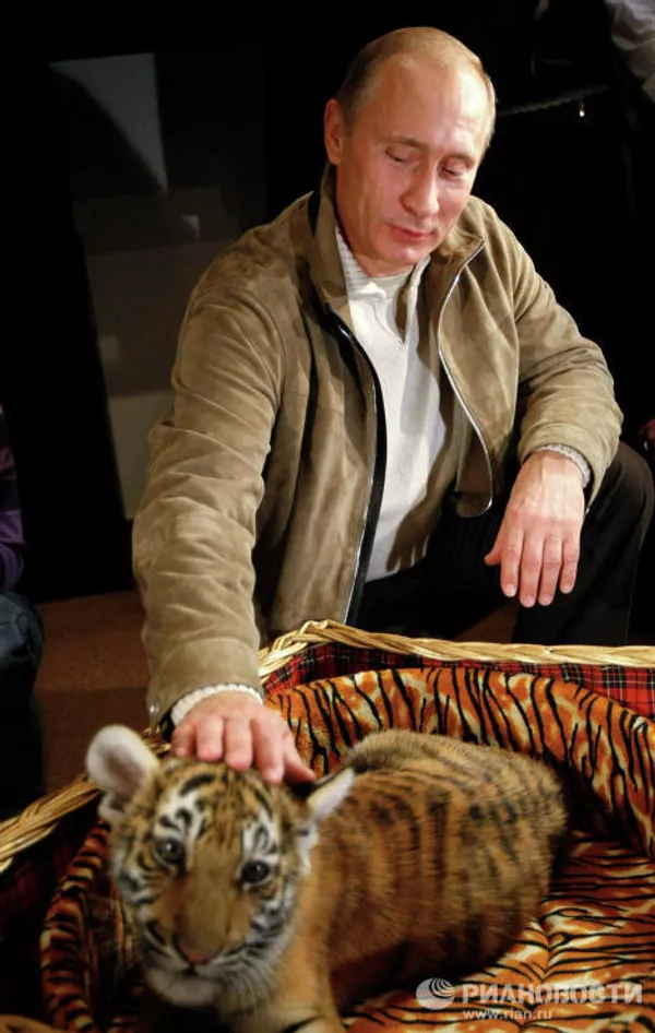 Vladímir Putin y sus mascotas Vladímir Putin y sus mascotas - Sputnik Mundo