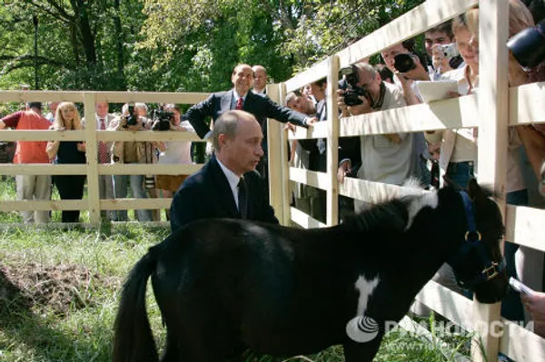 Vladímir Putin y sus mascotas Vladímir Putin y sus mascotas - Sputnik Mundo