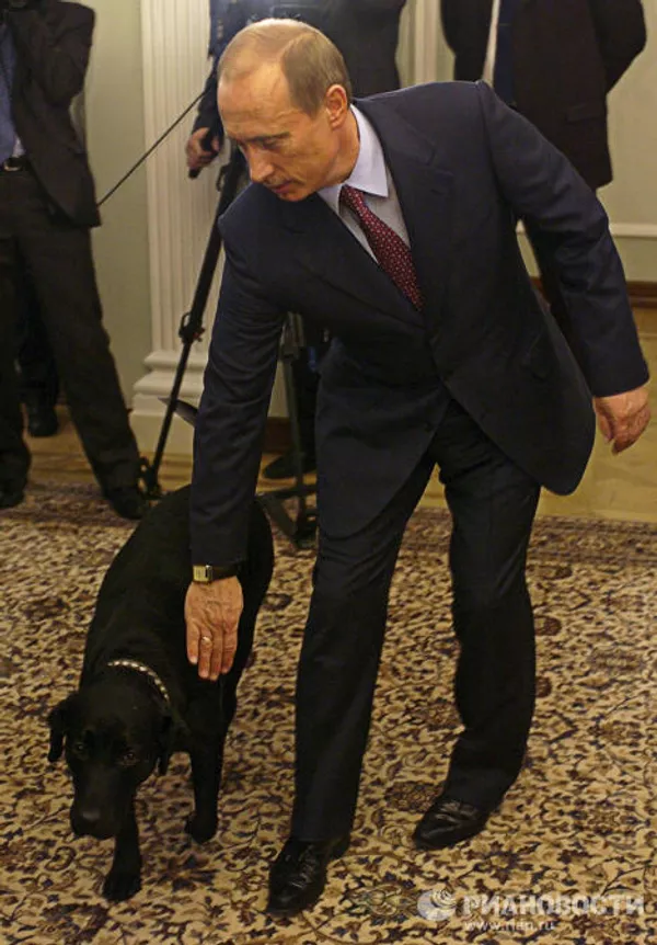 Vladímir Putin y sus mascotas Vladímir Putin y sus mascotas - Sputnik Mundo