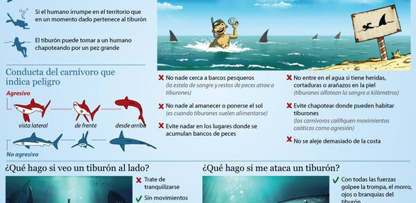 Medidas de seguridad si Usted encuentra un tiburón - Sputnik Mundo
