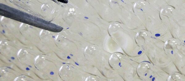 Fabricación de vacunas - Sputnik Mundo