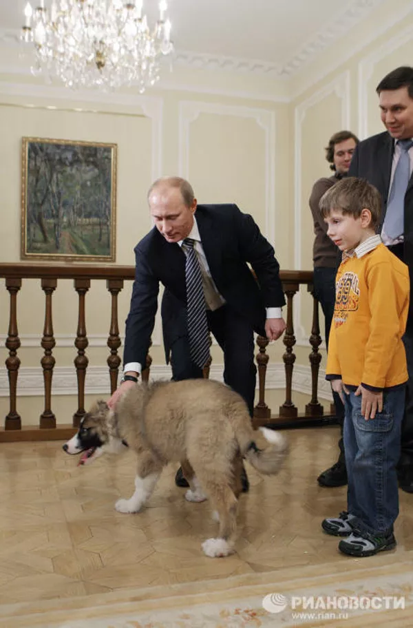 Putin recibe al chico que inventó nombre a su nuevo perro Putin recibe al chico que inventó nombre a su nuevo perro - Sputnik Mundo
